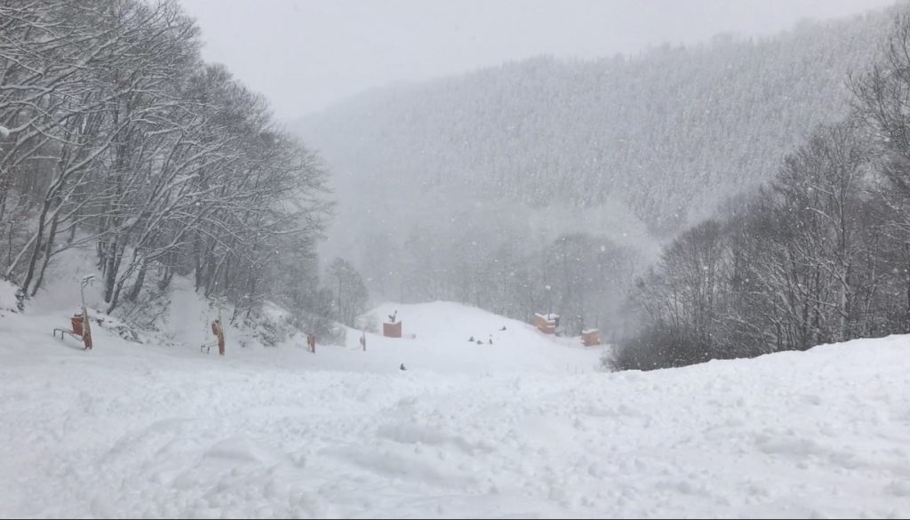 Ski Nagano, Nagano Ski Resorts