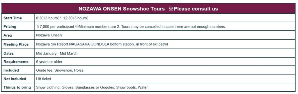 nagano snow shoe prices